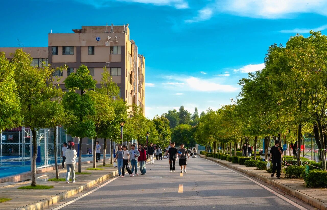 云南商务职业学院在2025年云南省职业院校技能大赛中斩获佳绩