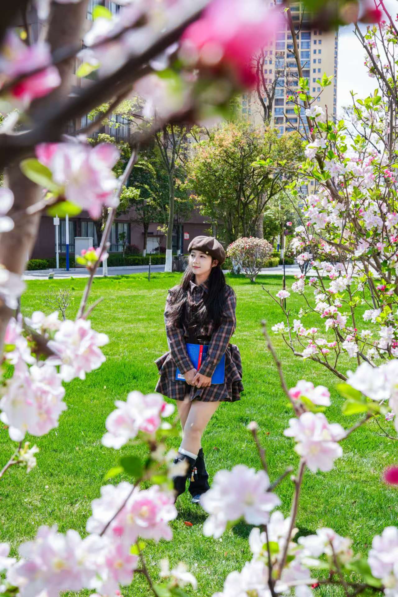 校园风光