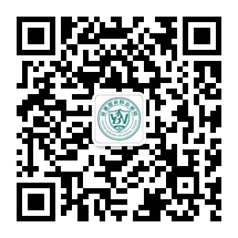 官方微信公众号